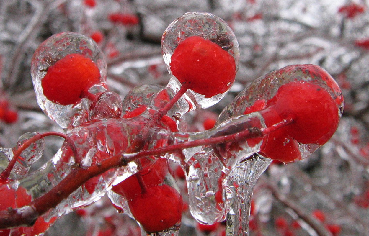 glaze ice