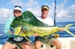 dorado