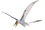 pterodactyl