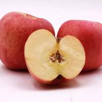 apple的英语翻译