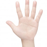 hand是什么意思,hand的中文翻译 hand