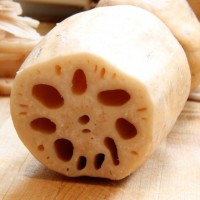lotus root是什么意思,lotus root的中文翻译 lotus root