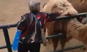 circulating相关阅读