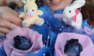 Dolls相关阅读