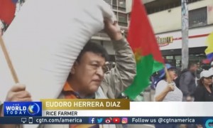 government相关阅读