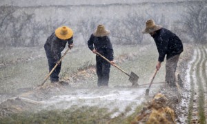 drought相关阅读