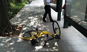 bus stop相关阅读