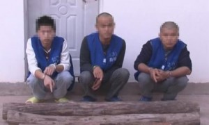 stealing相关阅读