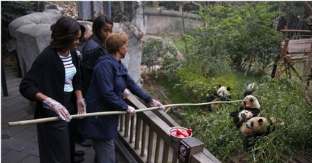 美第一夫人米歇尔一家成都喂熊猫 结束七日中国之旅 美第一夫人米歇尔一家成都喂熊猫 结束七日中国之旅