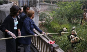 美第一夫人米歇尔一家成都喂熊猫 结束七日中国之旅