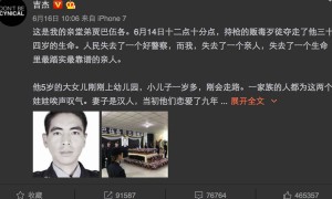 suing相关阅读