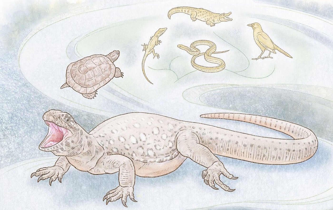 Tiny fossils expand amphibious timeline by at least 15 milli Tiny fossils expand amphibious timeline by at least 15 milli