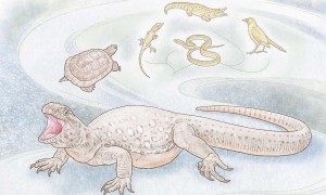 Tiny fossils expand amphibious timeline by at least 15 milli