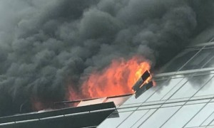killing相关阅读