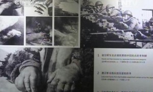 aggression相关阅读
