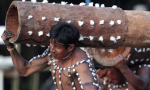 tribe相关阅读