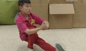 中国功夫将点亮2014春晚舞台