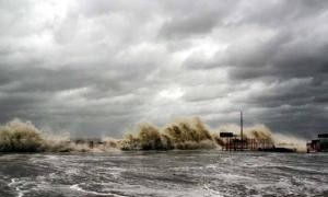 typhoon相关阅读
