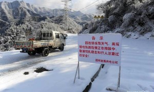 caused相关阅读