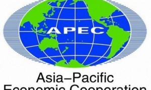 APEC重要词汇的缩写及中英文对照