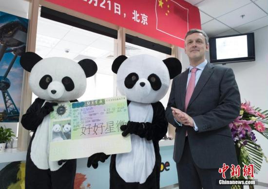 两只四岁大熊猫前往比利时 数百人送行 两只四岁大熊猫前往比利时 数百人送行