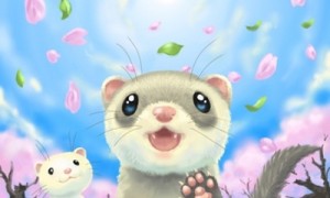 more相关阅读