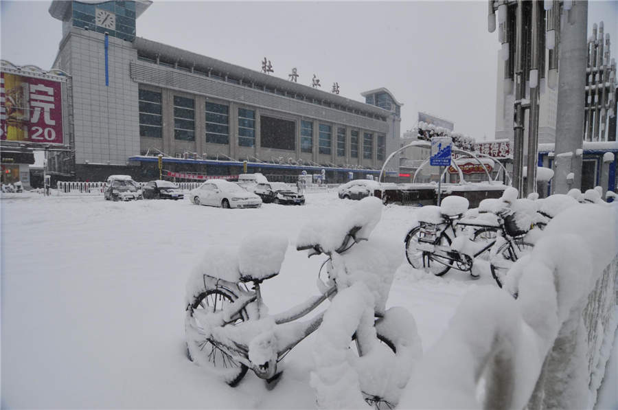 黑龙江哈尔滨迎来50年最大暴雪 黑龙江哈尔滨迎来50年最大暴雪