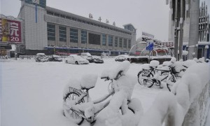 黑龙江哈尔滨迎来50年最大暴雪