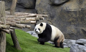 conservation相关阅读