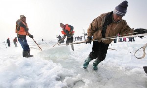 哈尔滨国际冰雪节将近 上千人松花江上凿冰