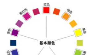 rose bloom相关阅读