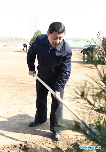 习近平义务植树:造林要一代人接一代人 习近平义务植树:造林要一代人接一代人