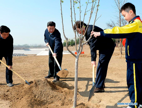 习近平义务植树照片 习近平义务植树照片