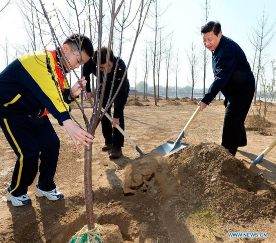 习近平义务植树照片 习近平义务植树照片