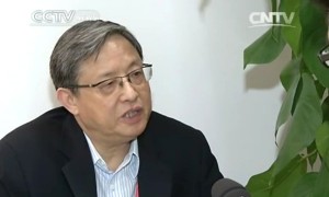 关于2014博鳌论坛的英文报道