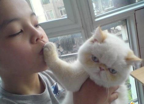 记住:闭嘴不是“Shut Up”!闭嘴用英语怎么说? 记住:闭嘴不是“Shut Up”!闭嘴用英语怎么说?