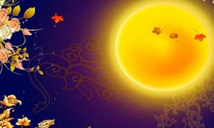 over the moon相关阅读