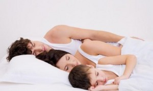 英语热词：什么是睡眠骆驼？ sleep camel