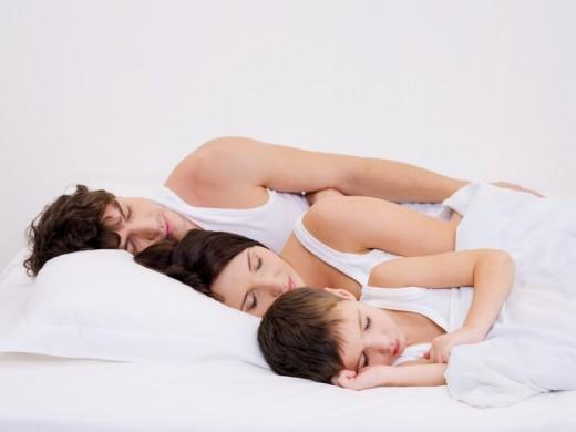 英语热词:什么是睡眠骆驼? sleep camel 英语热词:什么是睡眠骆驼? sleep camel
