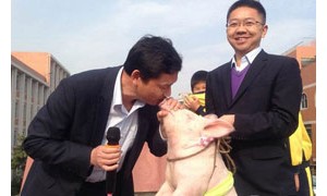 primary相关阅读