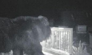 晚上相关阅读