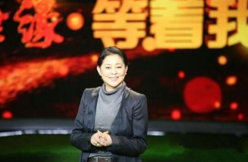55岁倪萍整容照 55岁倪萍整容照