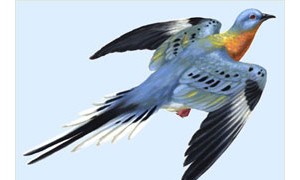 Stool pigeon: 警察的&ldquo;眼线&rdquo;