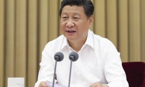 充分相关阅读