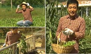 远离喧嚣 体验绿色奶农场生活