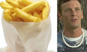 chips相关阅读