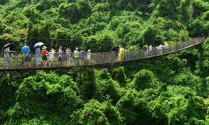 我国将力推&ldquo;森林旅游&rdquo;