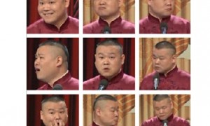 bitch相关阅读