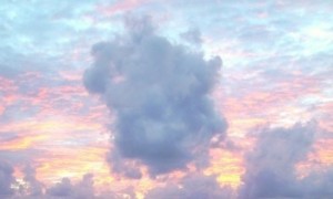 fairy相关阅读