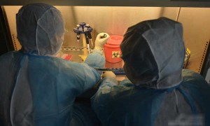 什么是中东呼吸综合征：MERS？